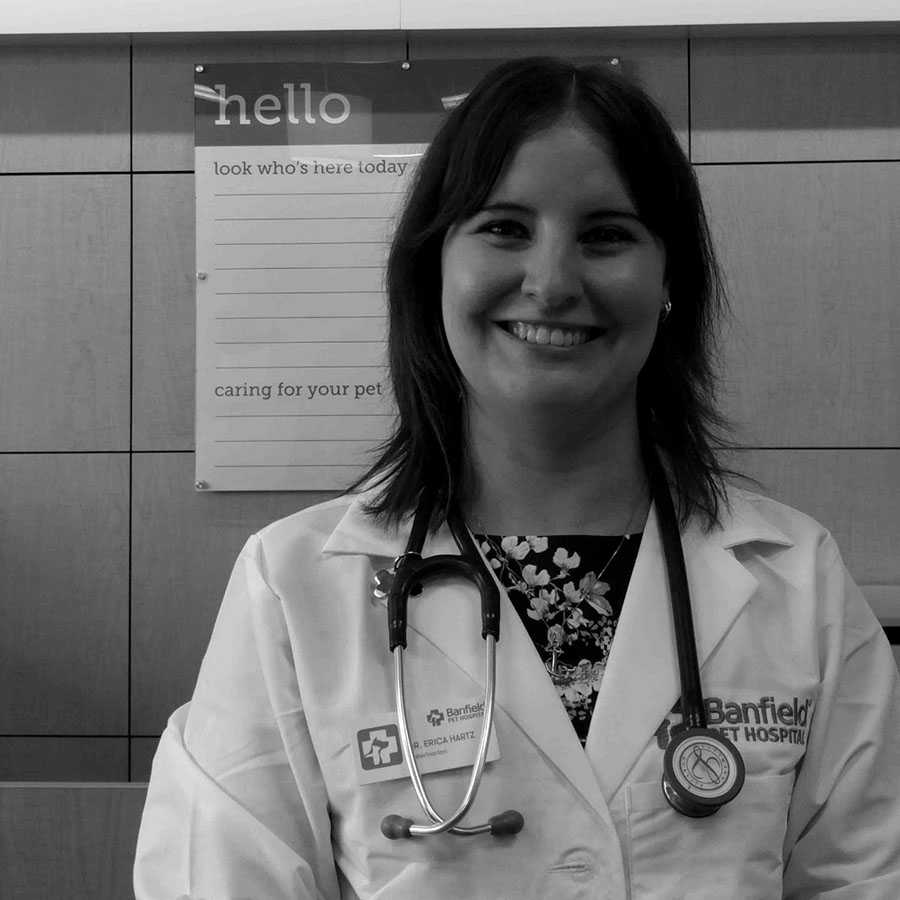 Profile picture of Erica Hartz, DVM, MS, MPH, Veterinarian
