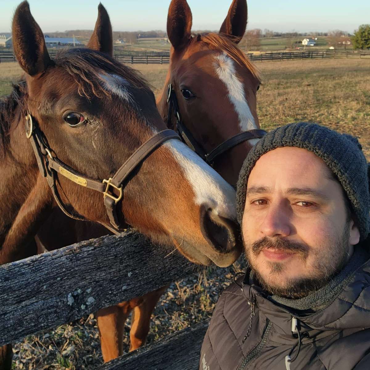 Profile picture of Jorge  Tie Costa Reis Hamond, Veterinary Assistant