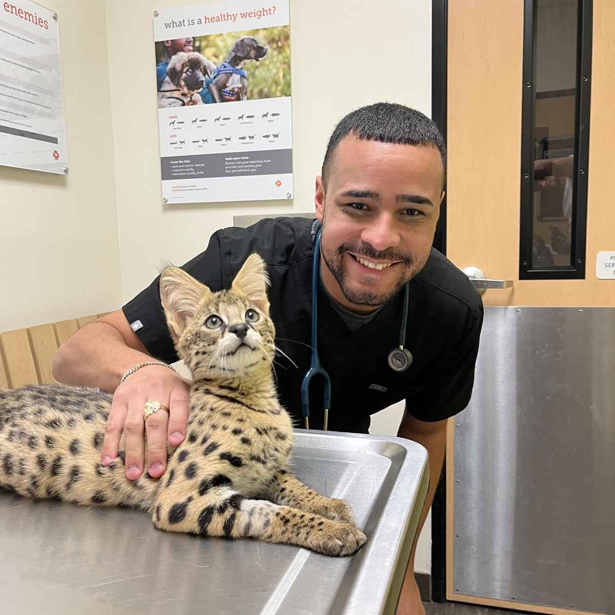 Profile picture of Joel Romero, DVM, Veterinarian