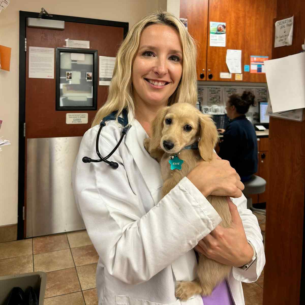 Profile picture of Kristen Stiltner, DVM, Veterinarian