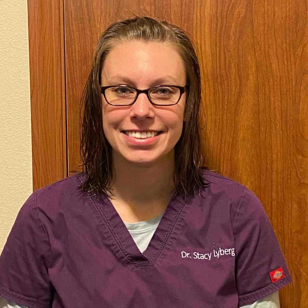 Profile picture of Stacy Lyberg, DVM, Veterinarian
