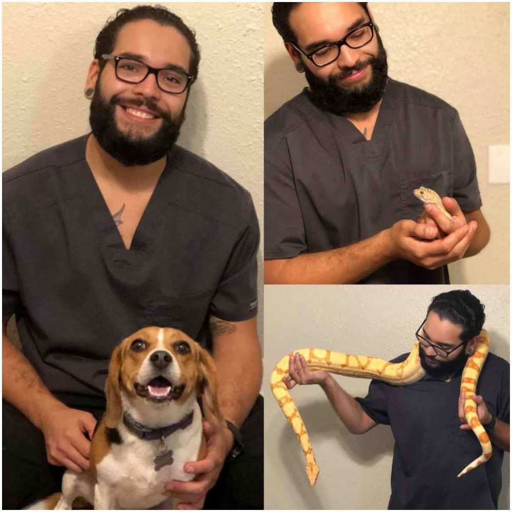 Profile picture of Jerry Najera, Veterinary Assistant