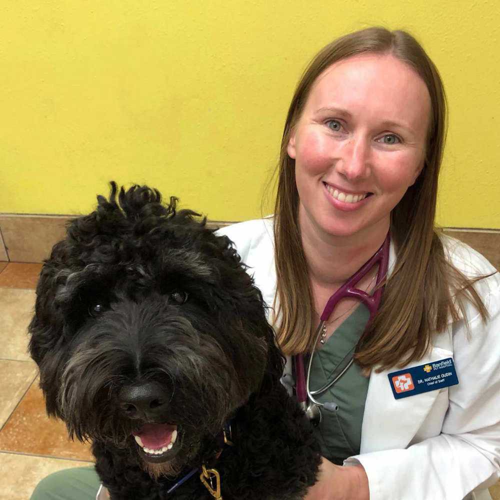 Veterinarians in Pinecrest, FL | Banfield Pet Hospital