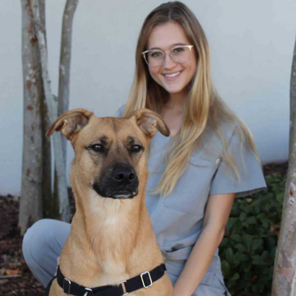 Profile picture of Chynna Pirmann, Veterinary Assistant