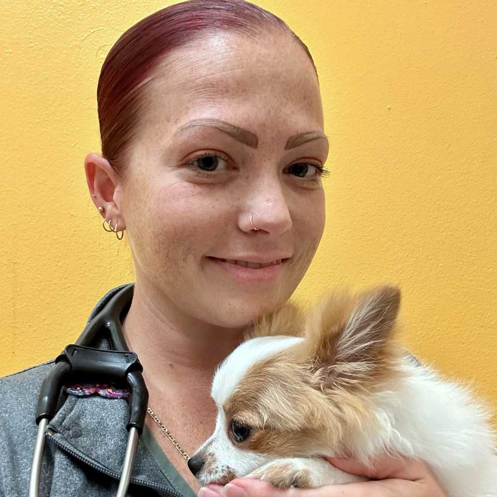 Profile picture of Ashley Padilla, CVT, Credentialed Veterinary Technician