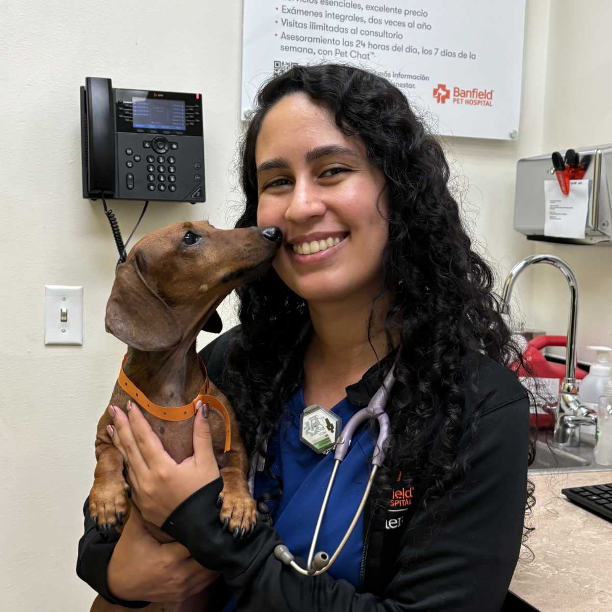 Profile picture of Paola Chacín, LVT, Licensed Veterinary Technician