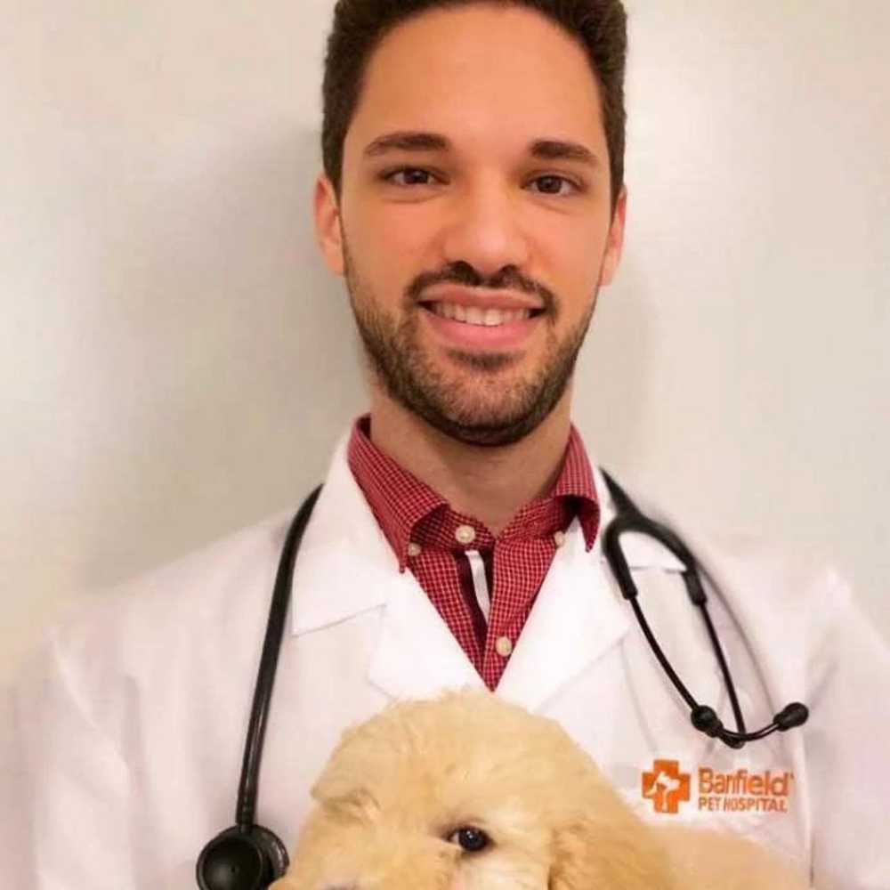 Profile picture of Mario Roman, DVM, Veterinarian