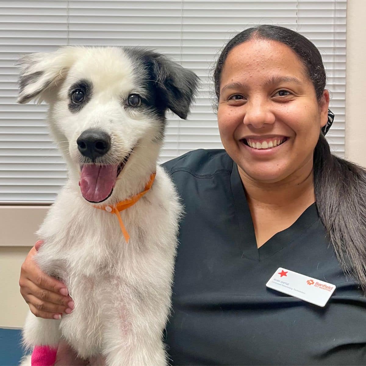 Profile picture of Rubi Ortiz Aviles, LVT, Licensed Veterinary Technician