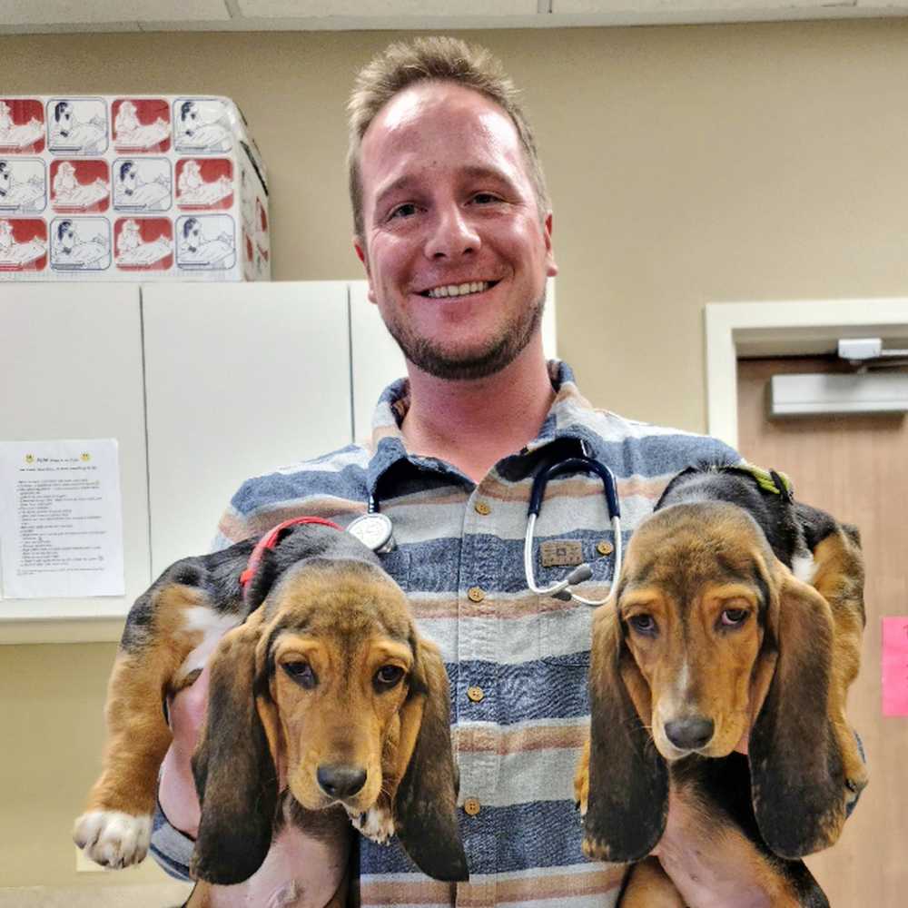 Profile picture of Graham Soderquist, DVM, Veterinarian