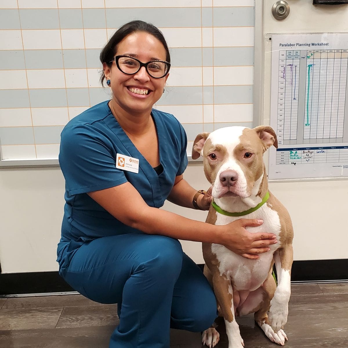 Profile picture of Stephanie Myers, CVT, Credentialed Veterinary Technician