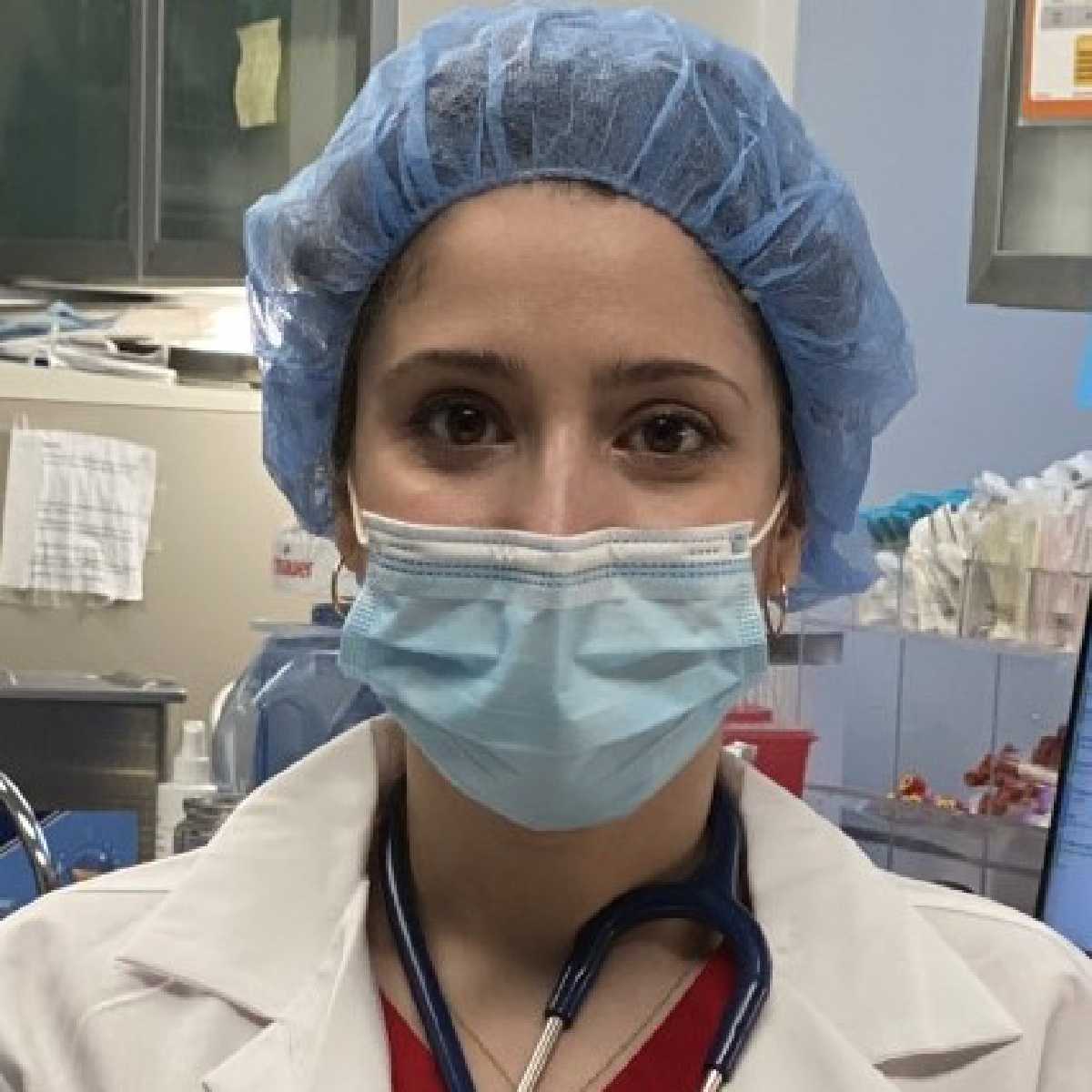 Profile picture of Aniseh Talebi, DVM, Veterinarian