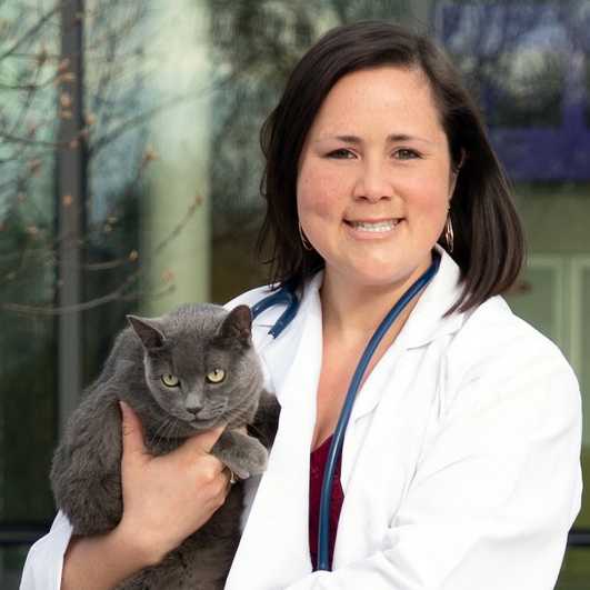 Profile picture of Carli Williams, DVM, Veterinarian