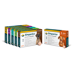 simparica chewables medication box