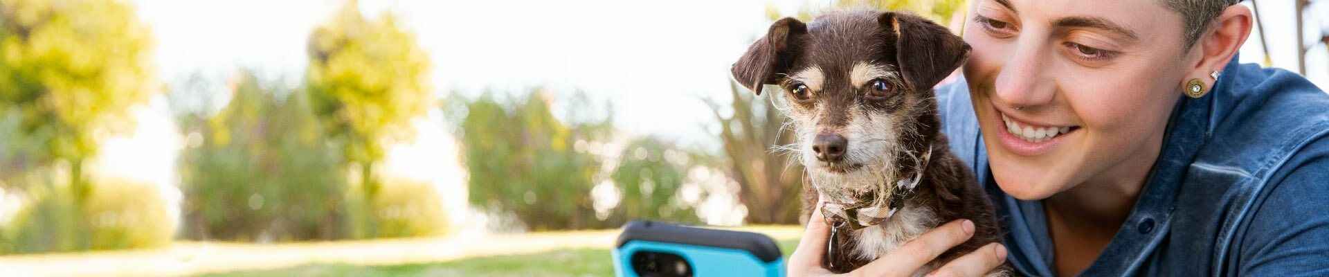 smiling person and brown chihuahua look at cellphone