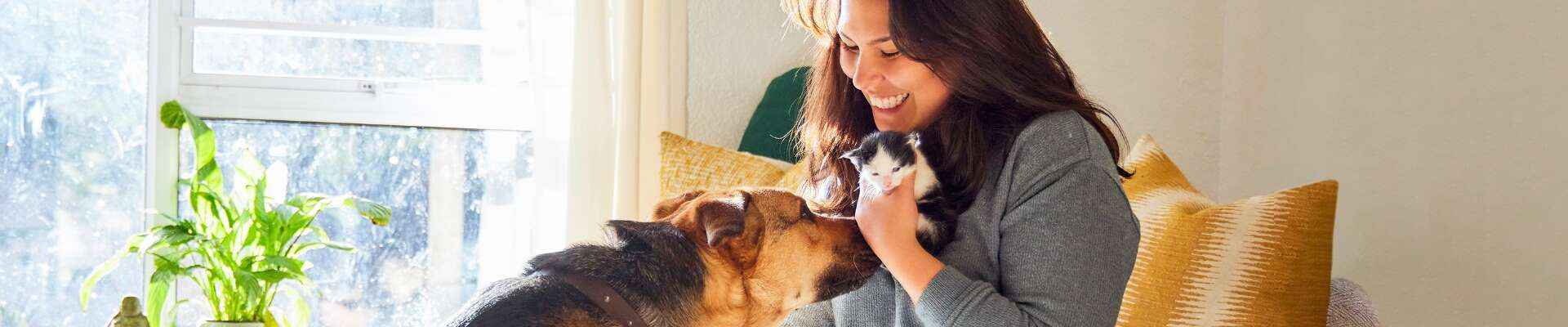 Smiling woman holding a kitten and petting a dog