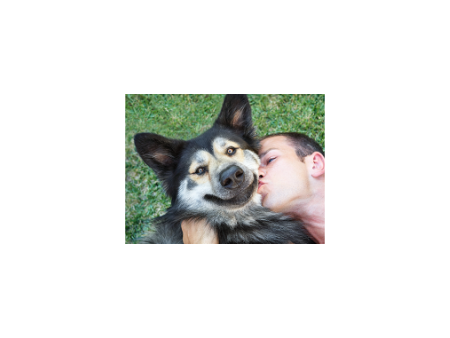 A close-up of a dog owner kissing his dog