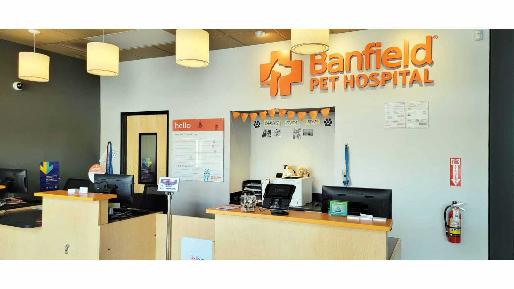 Veterinarians In San Diego, CA | Banfield Pet Hospital