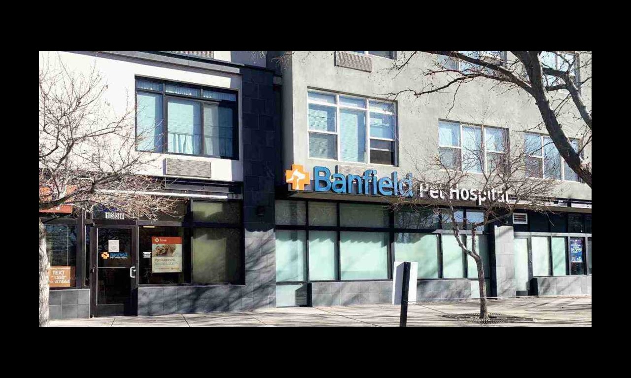 Vets In Denver Co Capitol Hill Banfield Pet Hospital