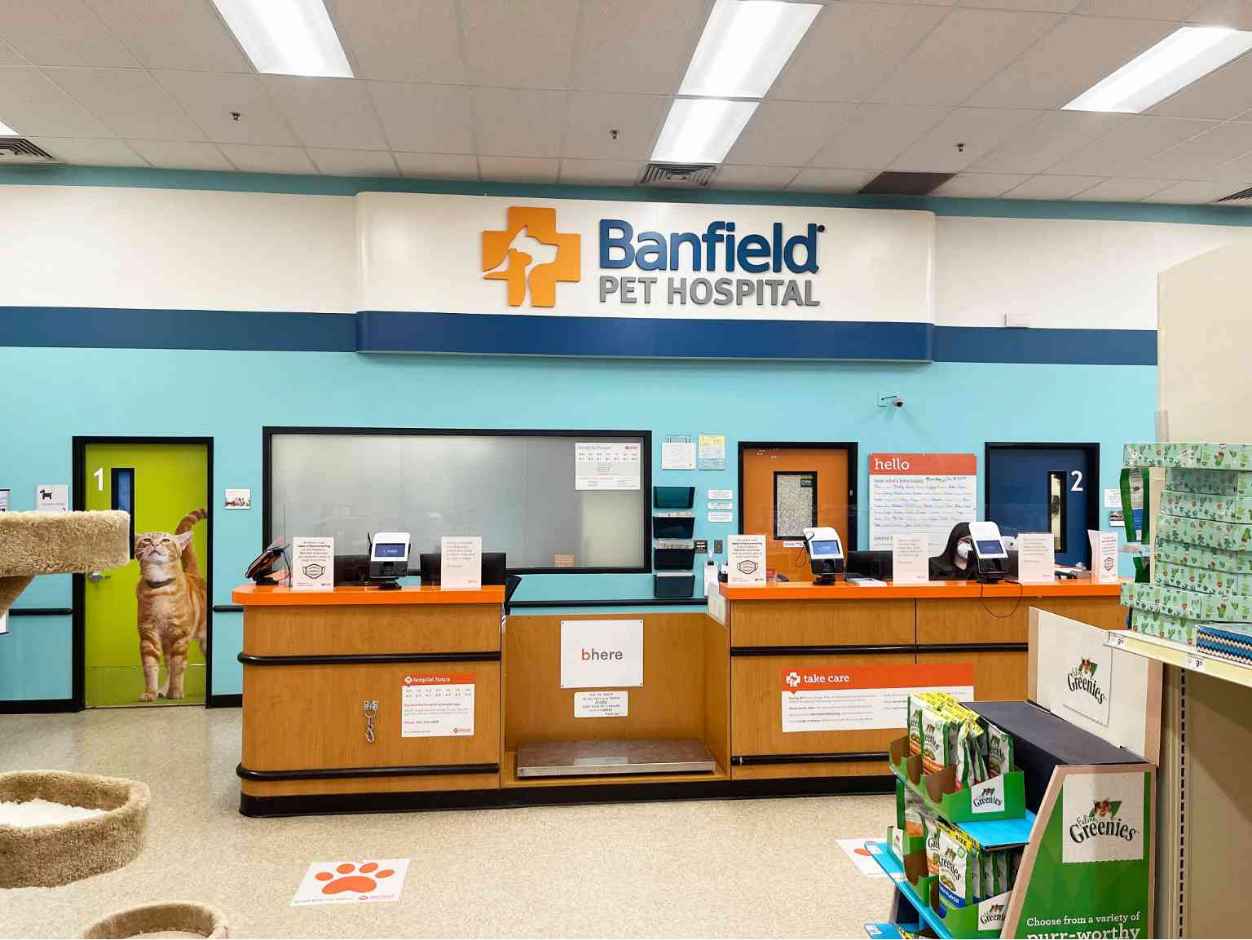 Veterinarians In Glendale Banfield Pet Hospital   GLN 002 