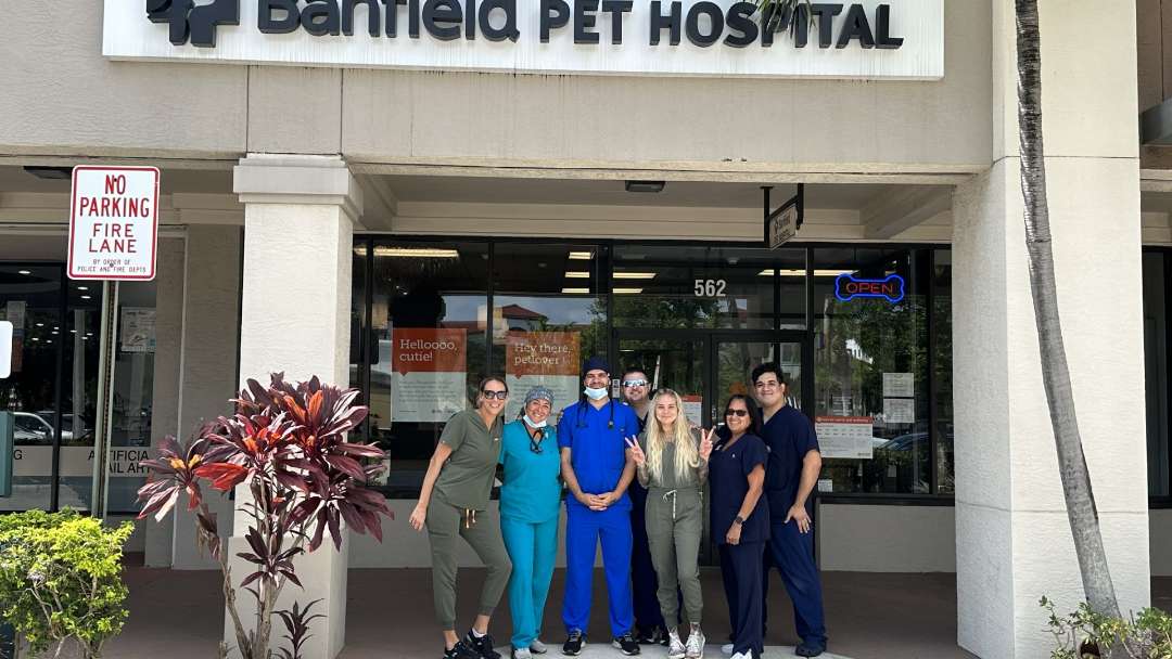 Banfield best sale vet hours