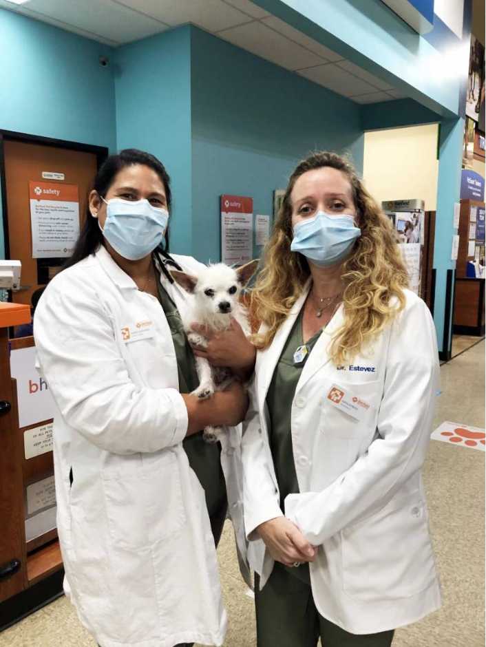 A couple of Banfield Associates holding a puppy at the Banfield Pet Hospital