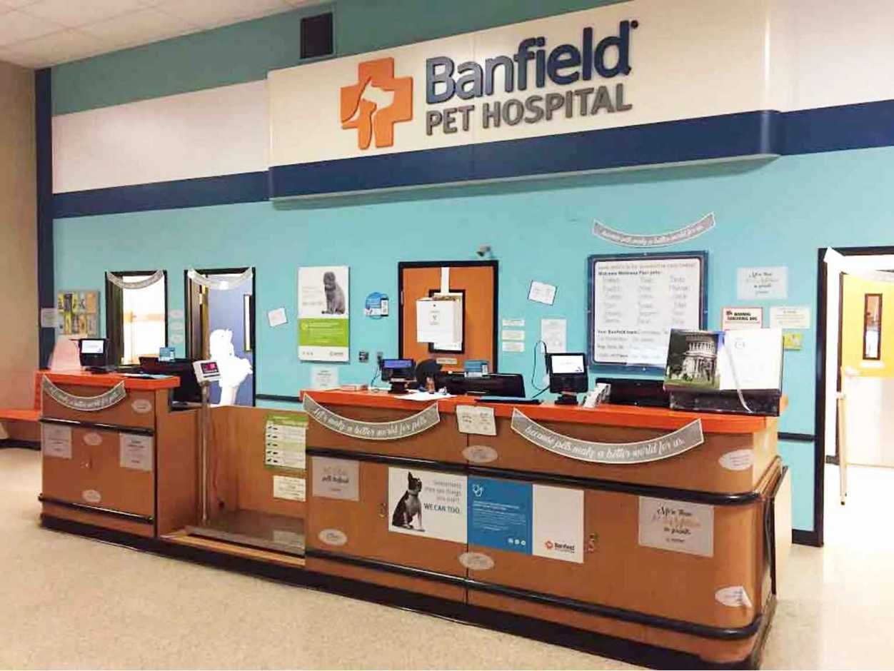 Veterinarians In Midtown Miami Banfield Pet Hospital   MIM 002 