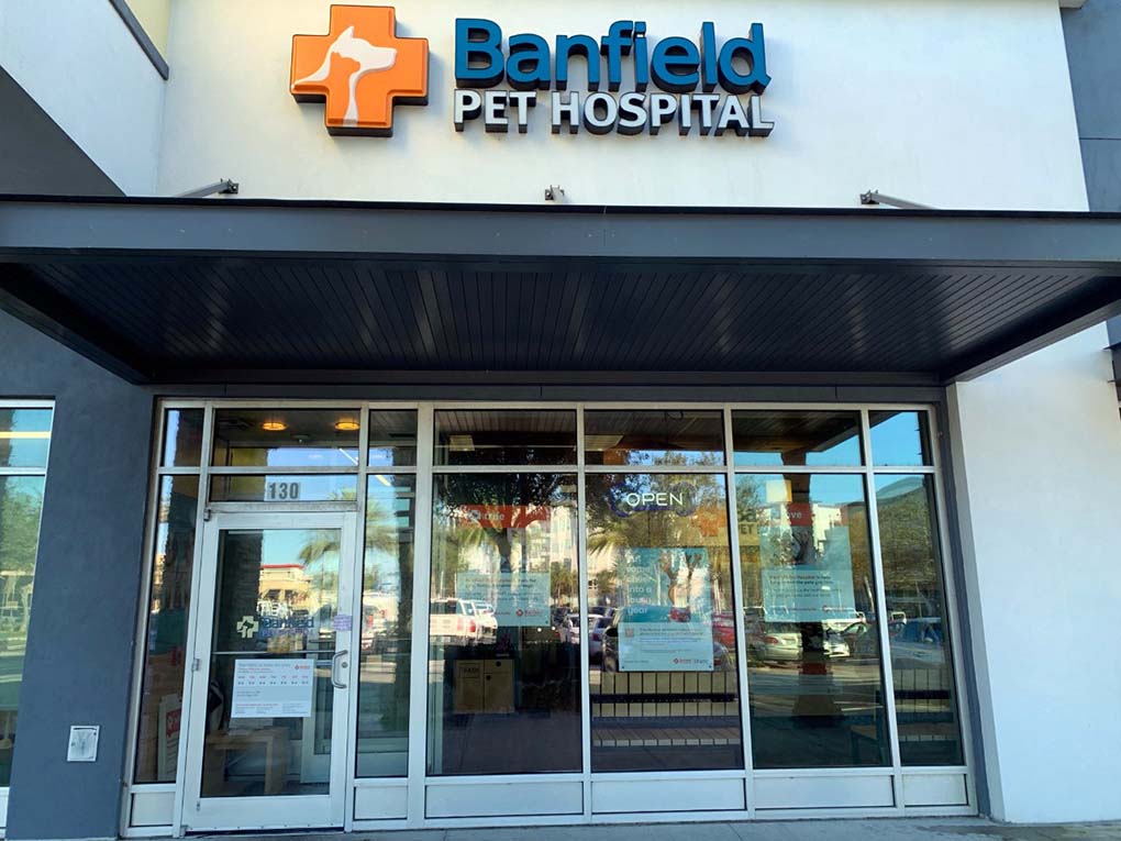 Vets at store banfield animal hospital