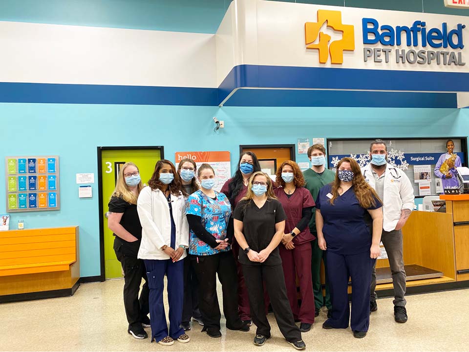 Banfield pet hot sale care