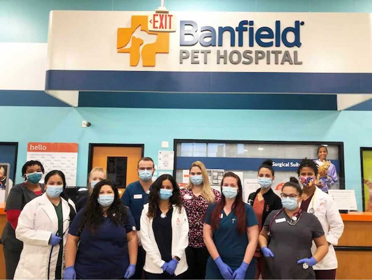 Banfield hospital hot sale hours