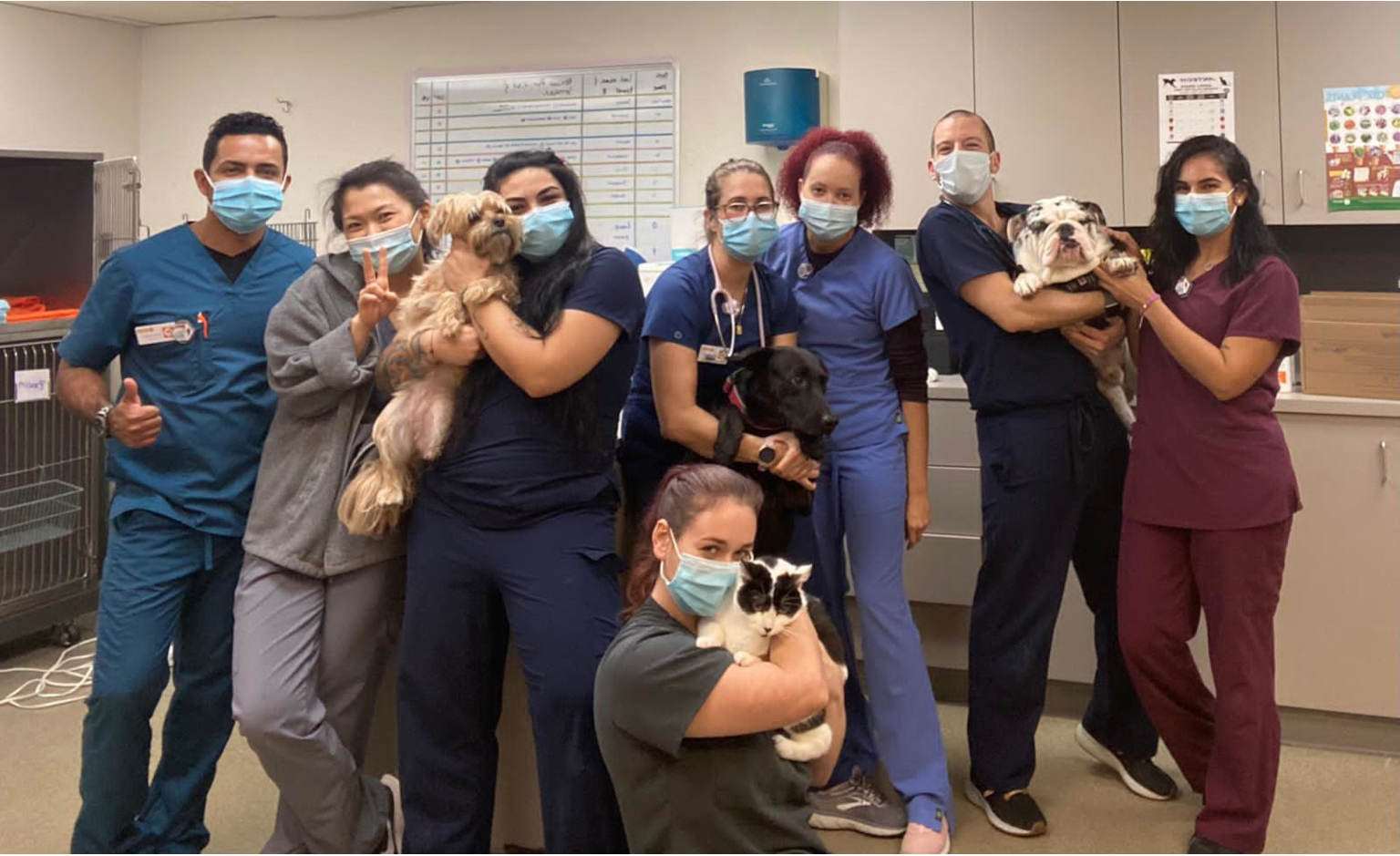 A group of Banfield Associates holding dogs at the Banfield Pet Hospital