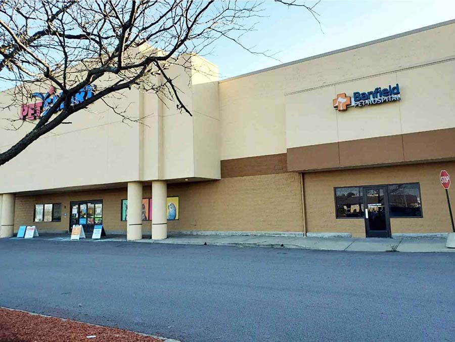 Petsmart banfield deals