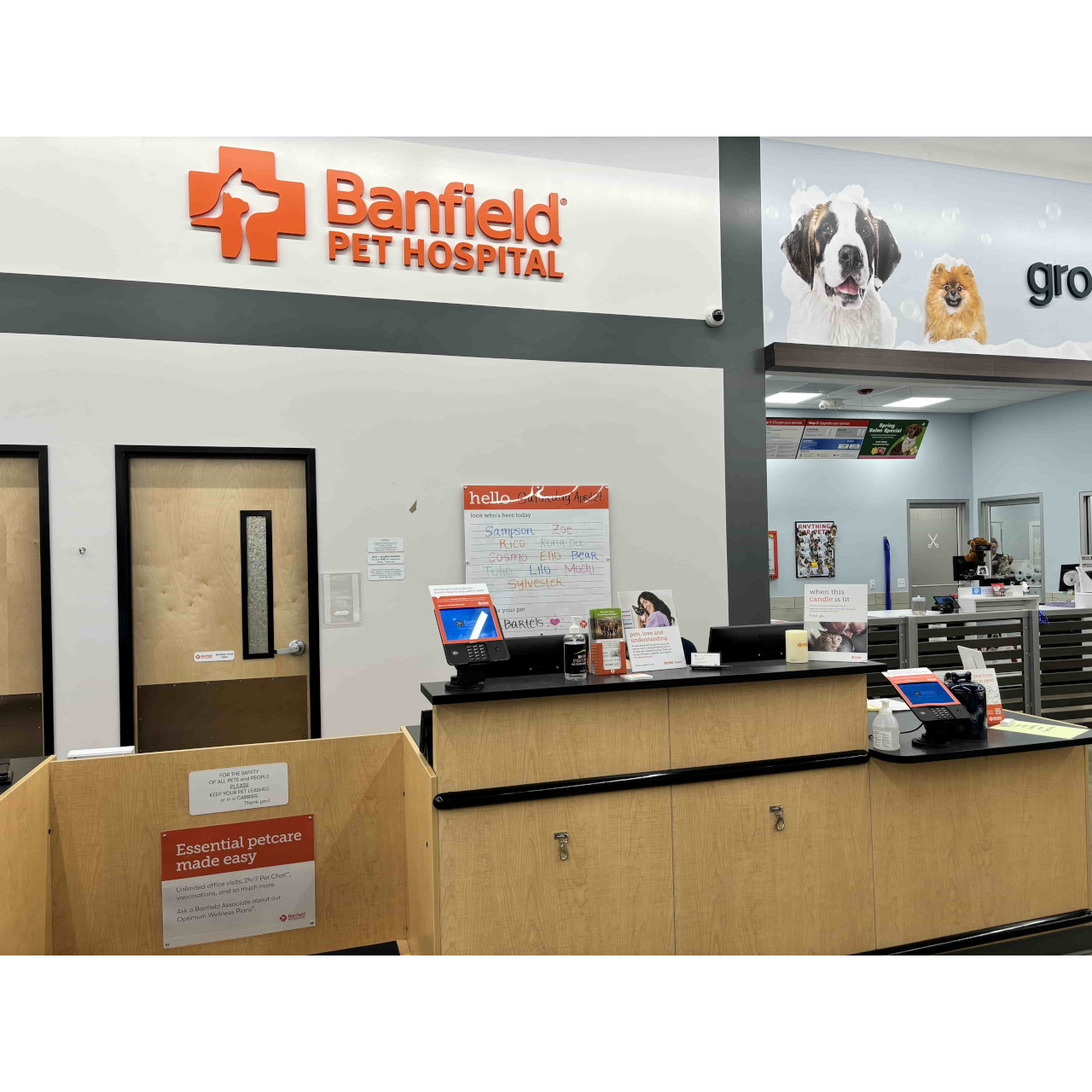 Orders banfield vet petsmart