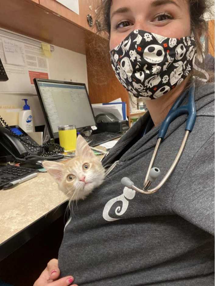 A tiny kitten peaking out of an associate's hoodie
