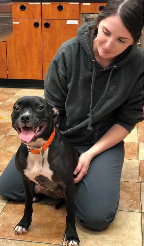 A young female associate and Oreo, the dog, at the Banfield Pet Hospital, Slidell S, LA