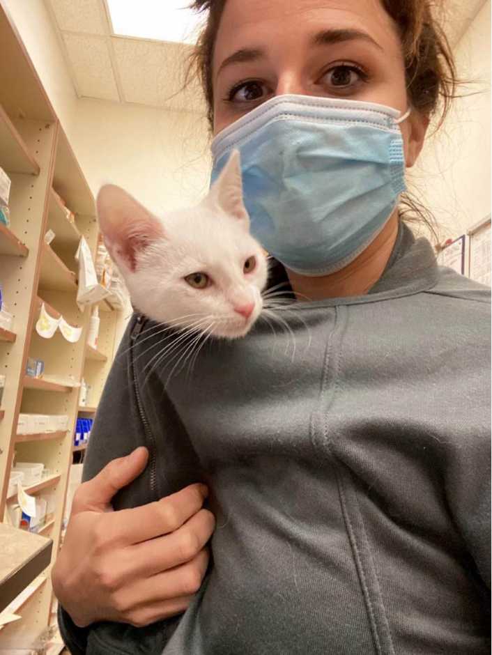 A white cat peeking out of an Associate's hoodie