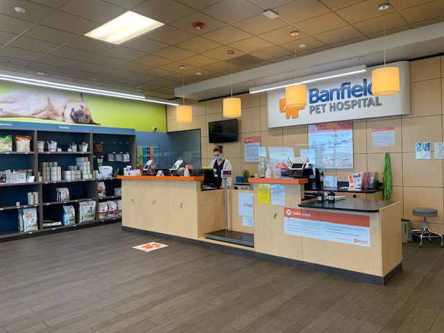 Banfield pet deals hospital near me