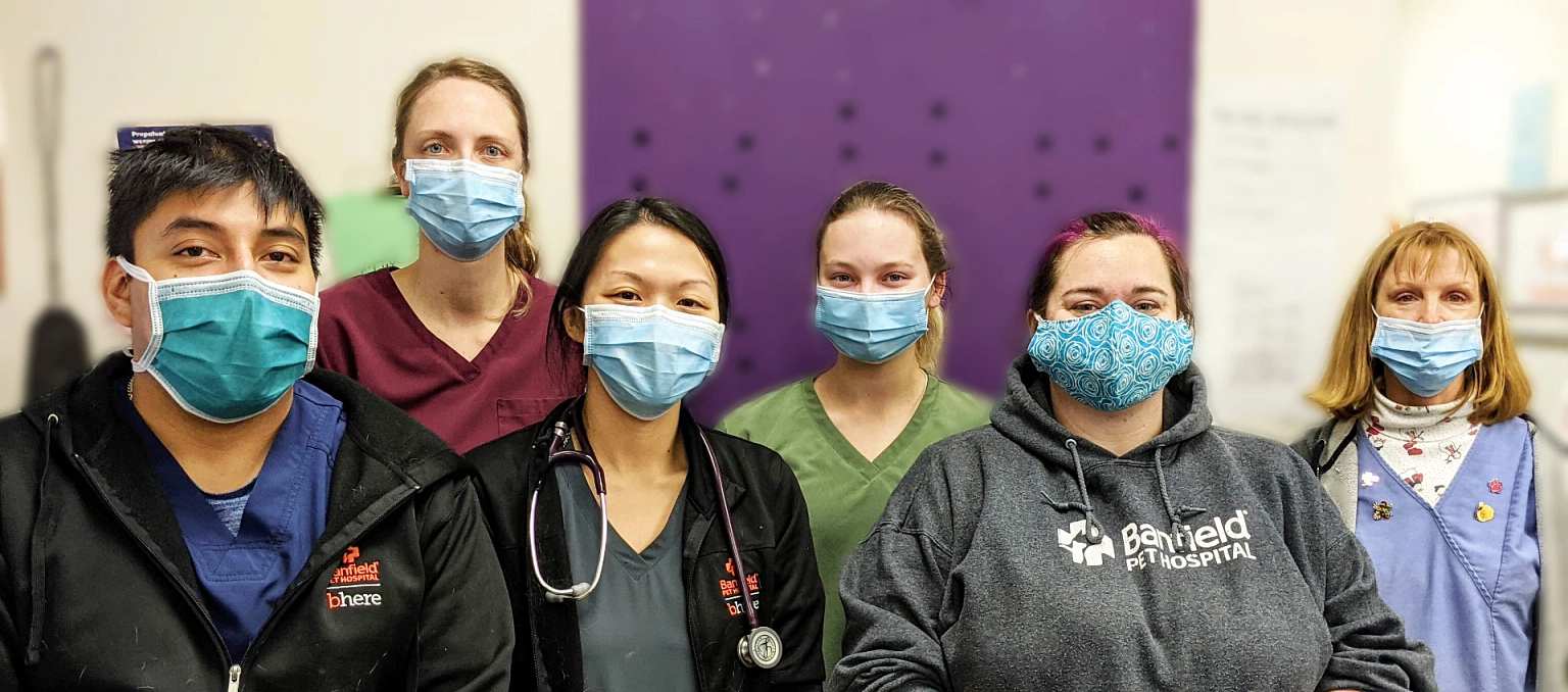 A group of Banfield Associates at the Banfield Pet Hospital