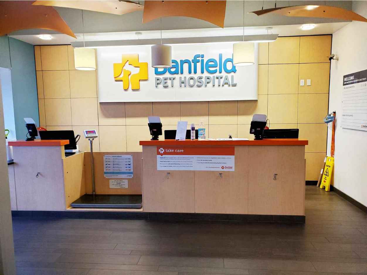 Call banfield clearance pet hospital