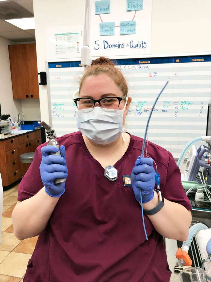 A young female associate holding a couple of medical equipment at the Banfield Pet Hospital