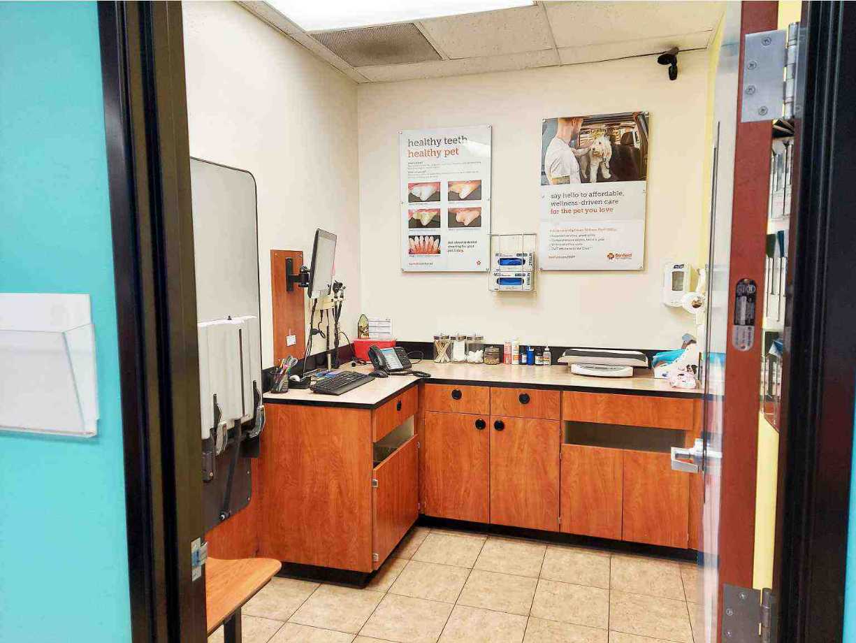 The pet examination room at the Banfield Pet Hospital