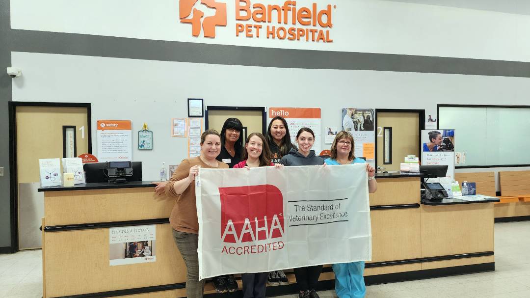 Banfield animal 2024 hospital petsmart