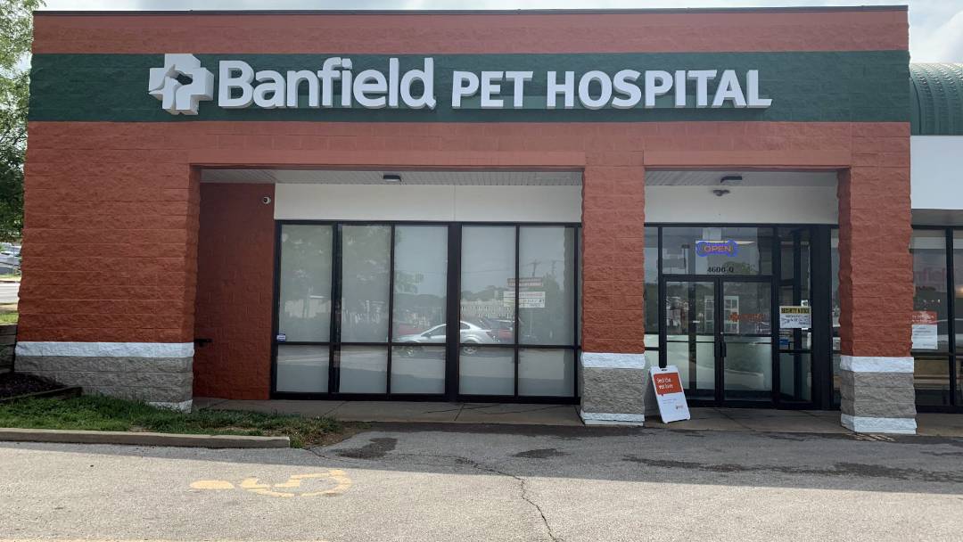 Banfield emergency best sale vet near me