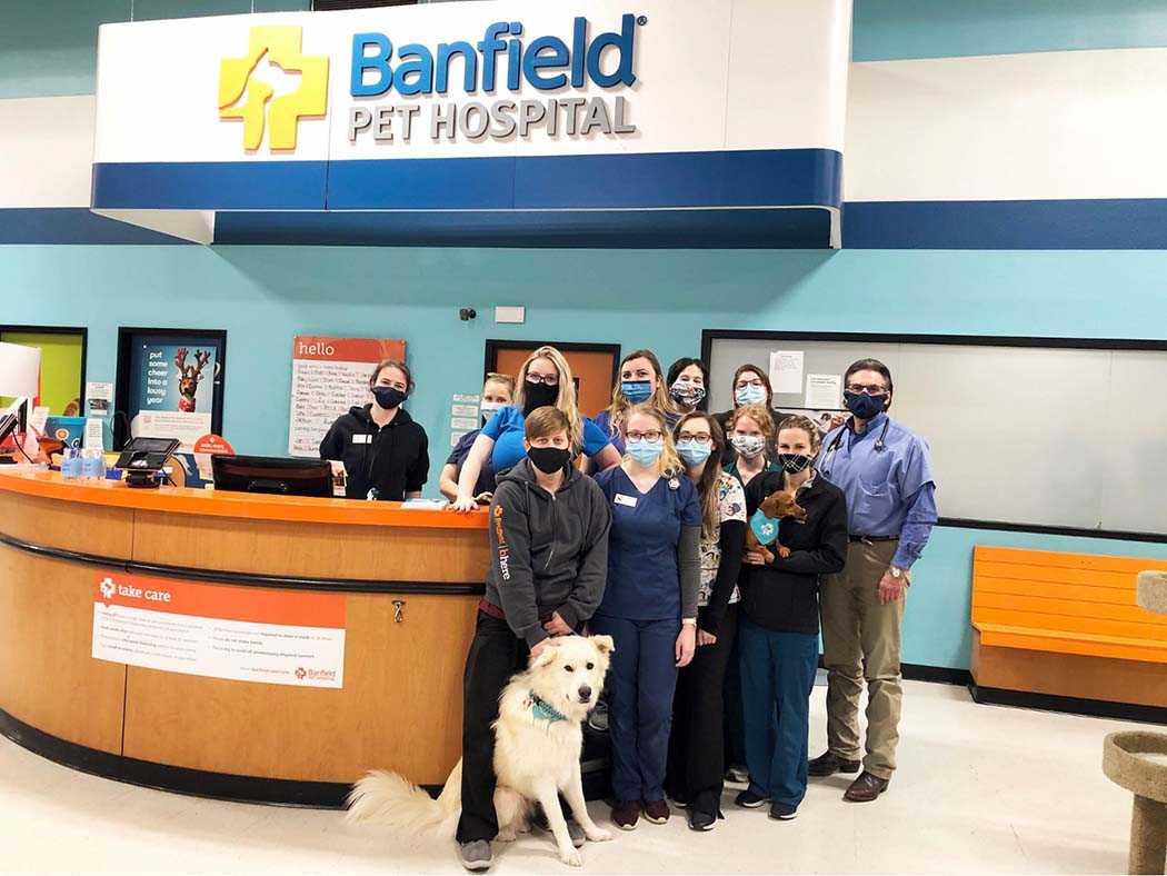 Banfield cheap dog hospital