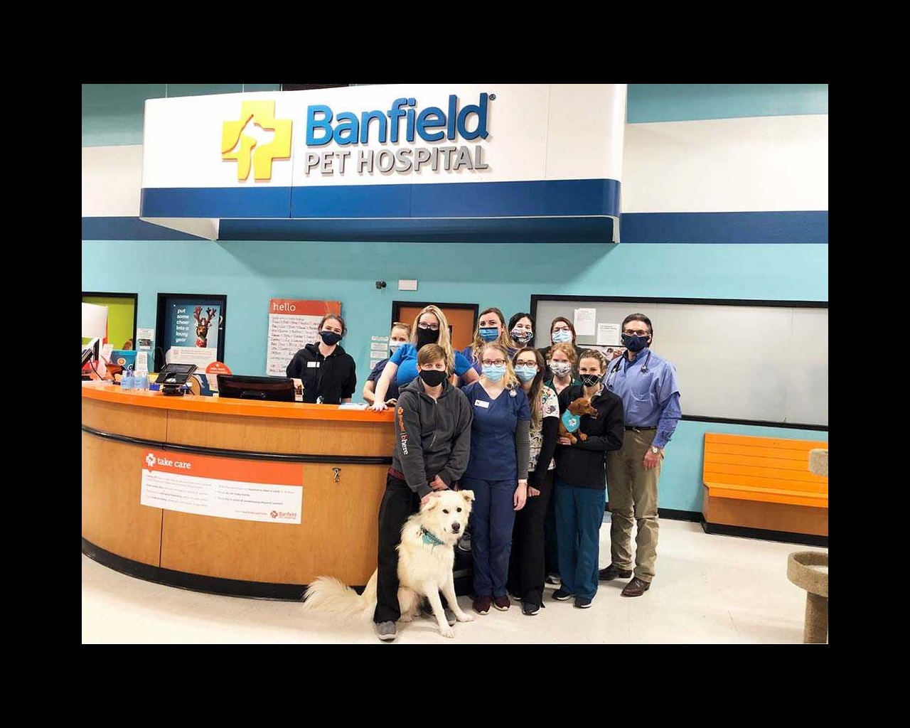 Veterinarians In Asheville Banfield Pet Hospital