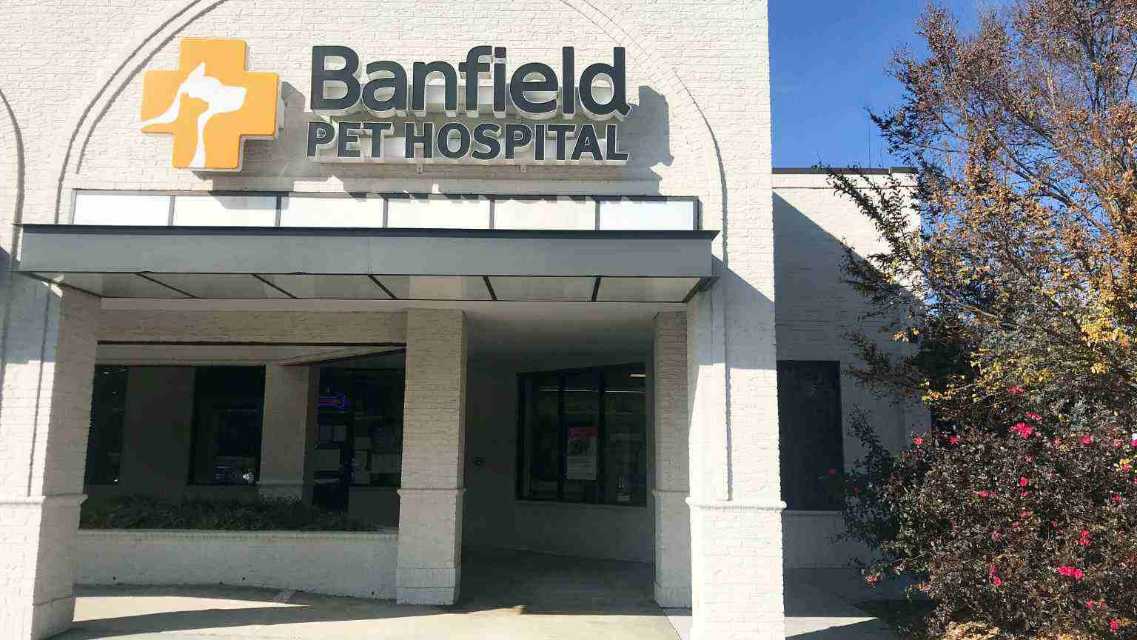 Banfield best sale emergency vet