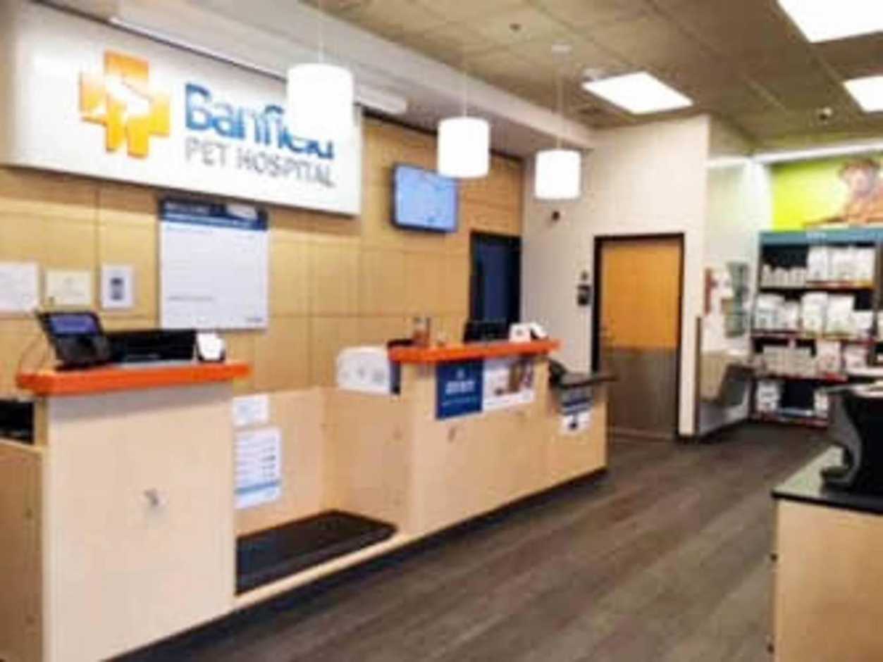 The front desk of the Banfield Pet Hospital