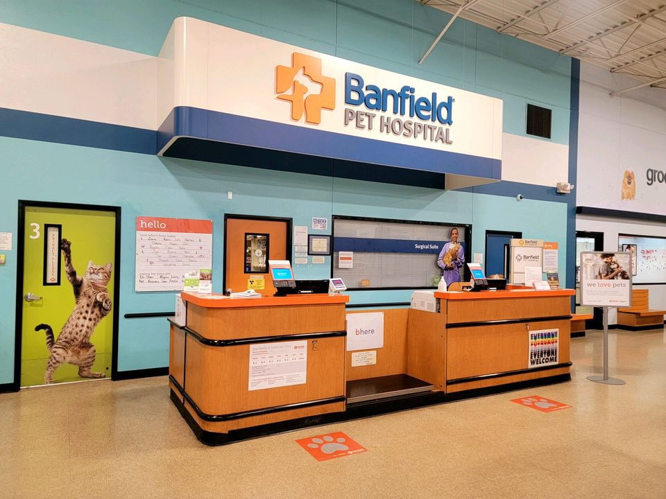 The front desk of the Banfield Monroe hospital