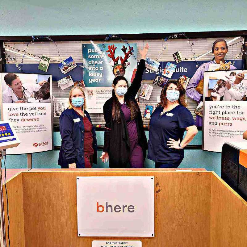 Three female associates standing at the front desk of the Banfield Pet Hospital