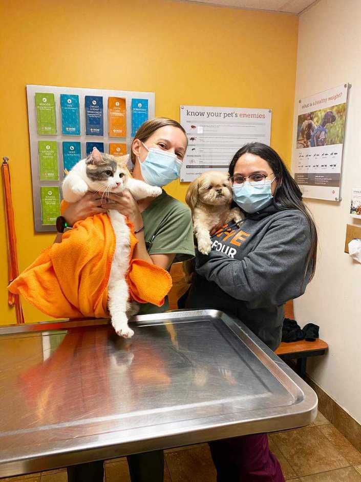 Veterinarians In Brooklyn, NY | Banfield Pet Hospital®