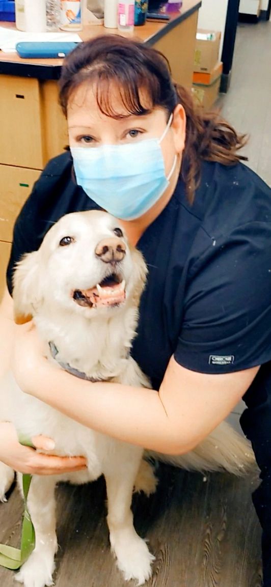 A female associate hugging a dog at the Banfield Pet Hospital